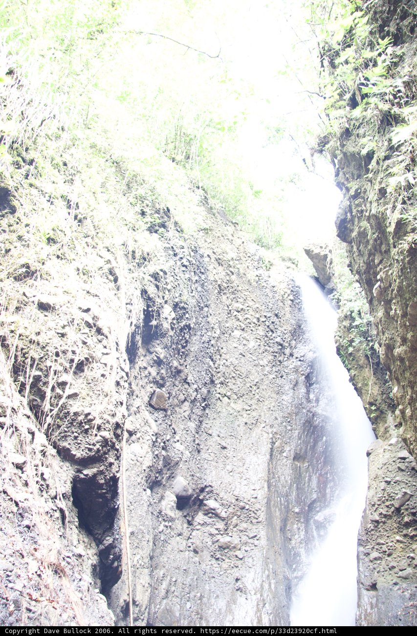 Nature's Graceful Cascade