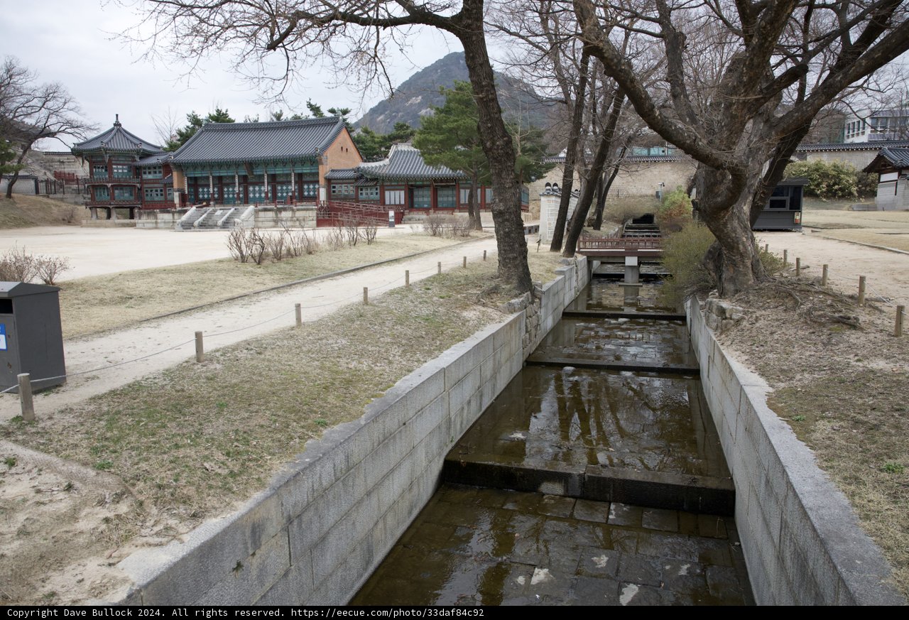 Tranquil Escape in Korean Park, 2024