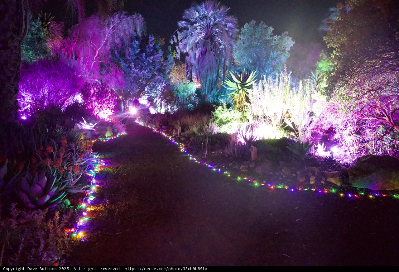 Enchanted Illumination