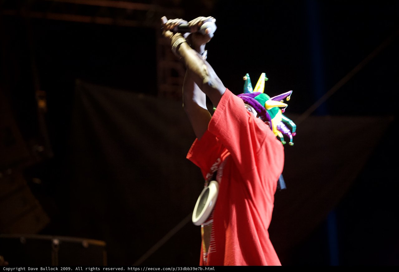 Red Shirt Man Rocks Coachella