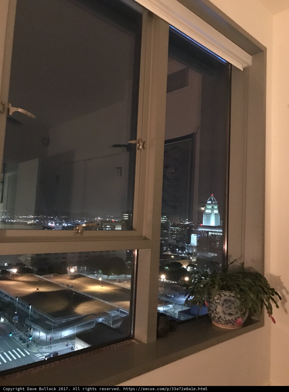 City Nights Through My Window