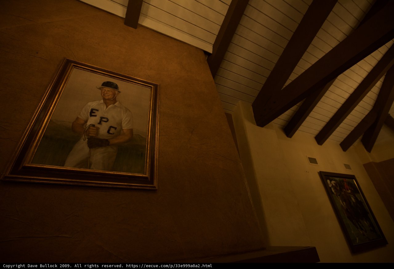 The Baseball Player