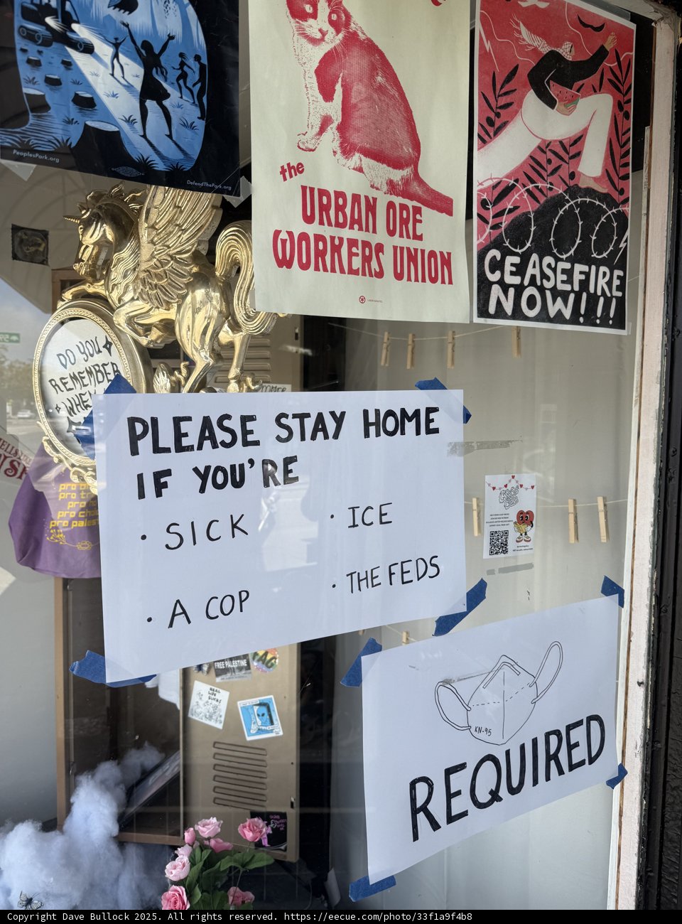 Quirky Window Displays in Emeryville