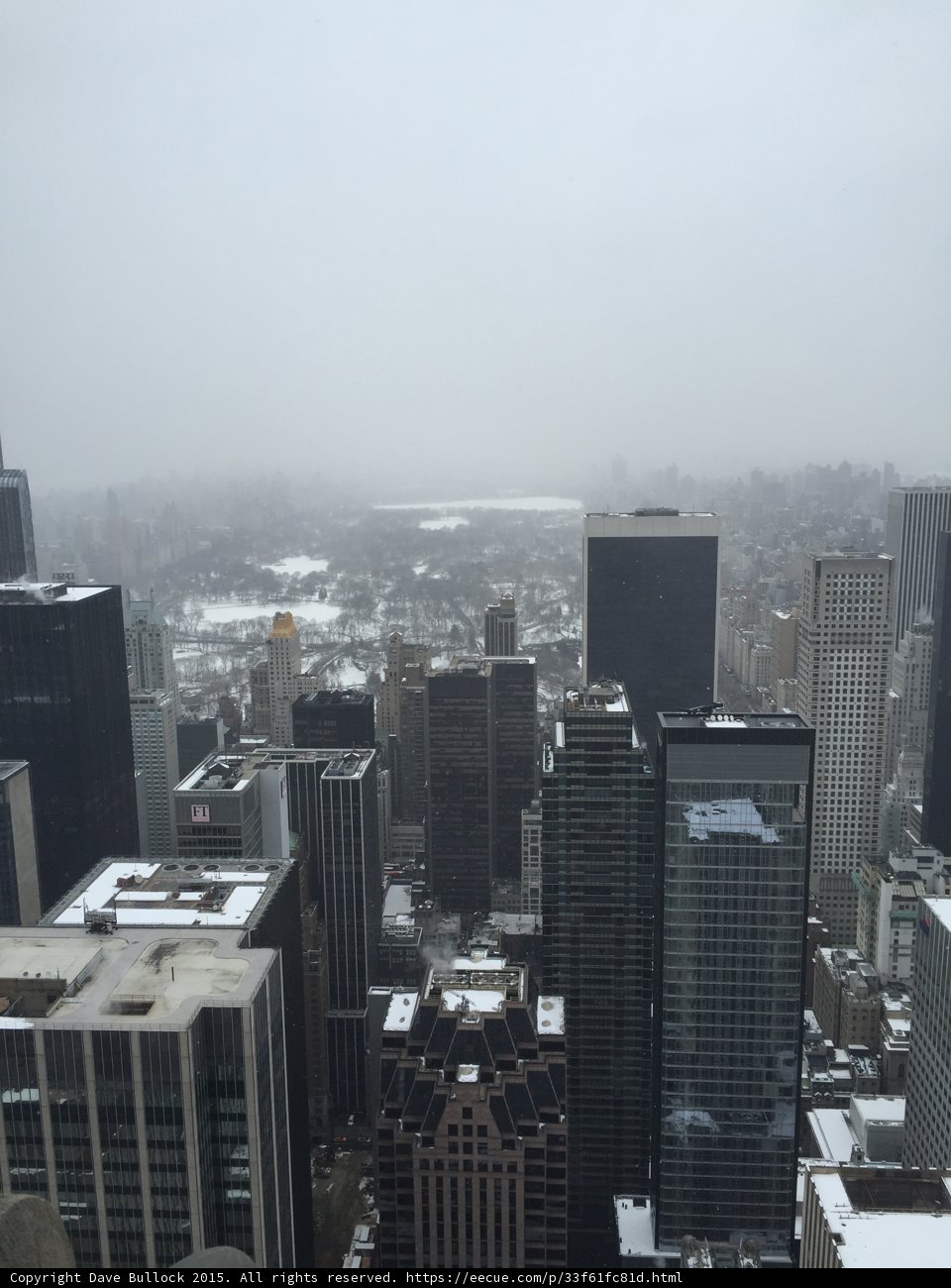Central Park Winter Aerial