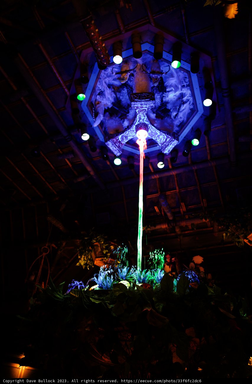 Enchanted Time in Disneyland