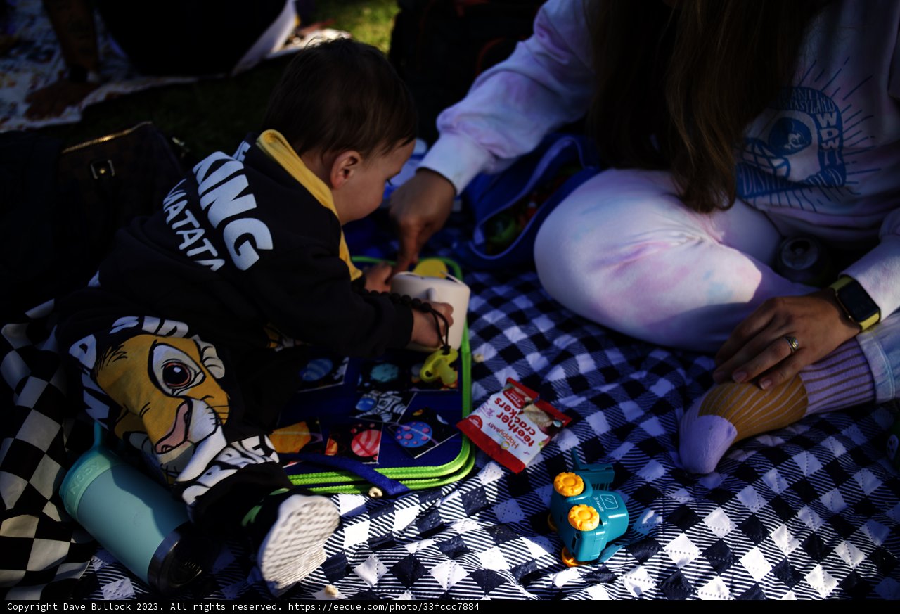 A Special Sunset Friday: Picnic At The SF Zoo