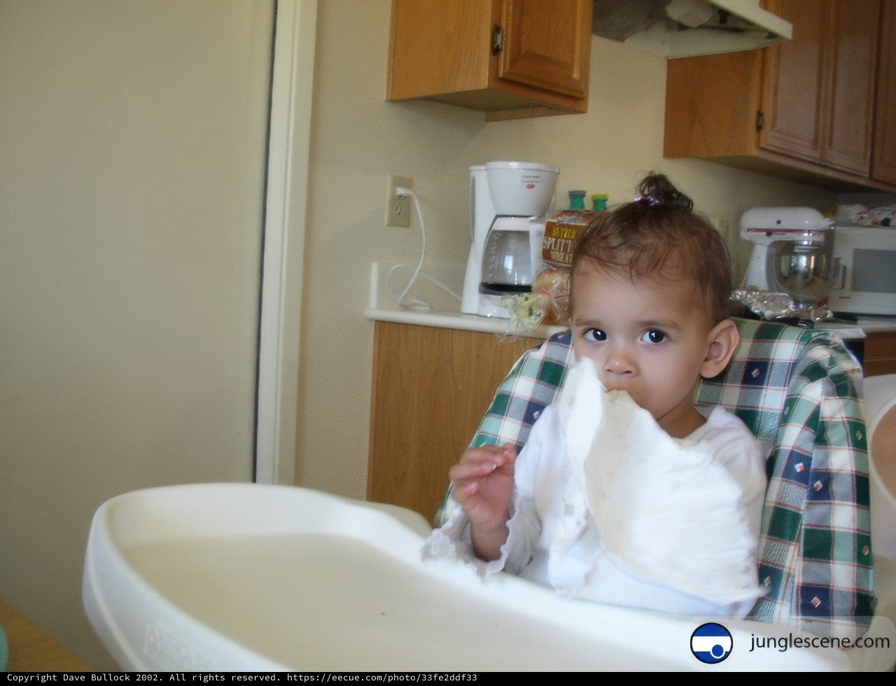 Baby's Appetite