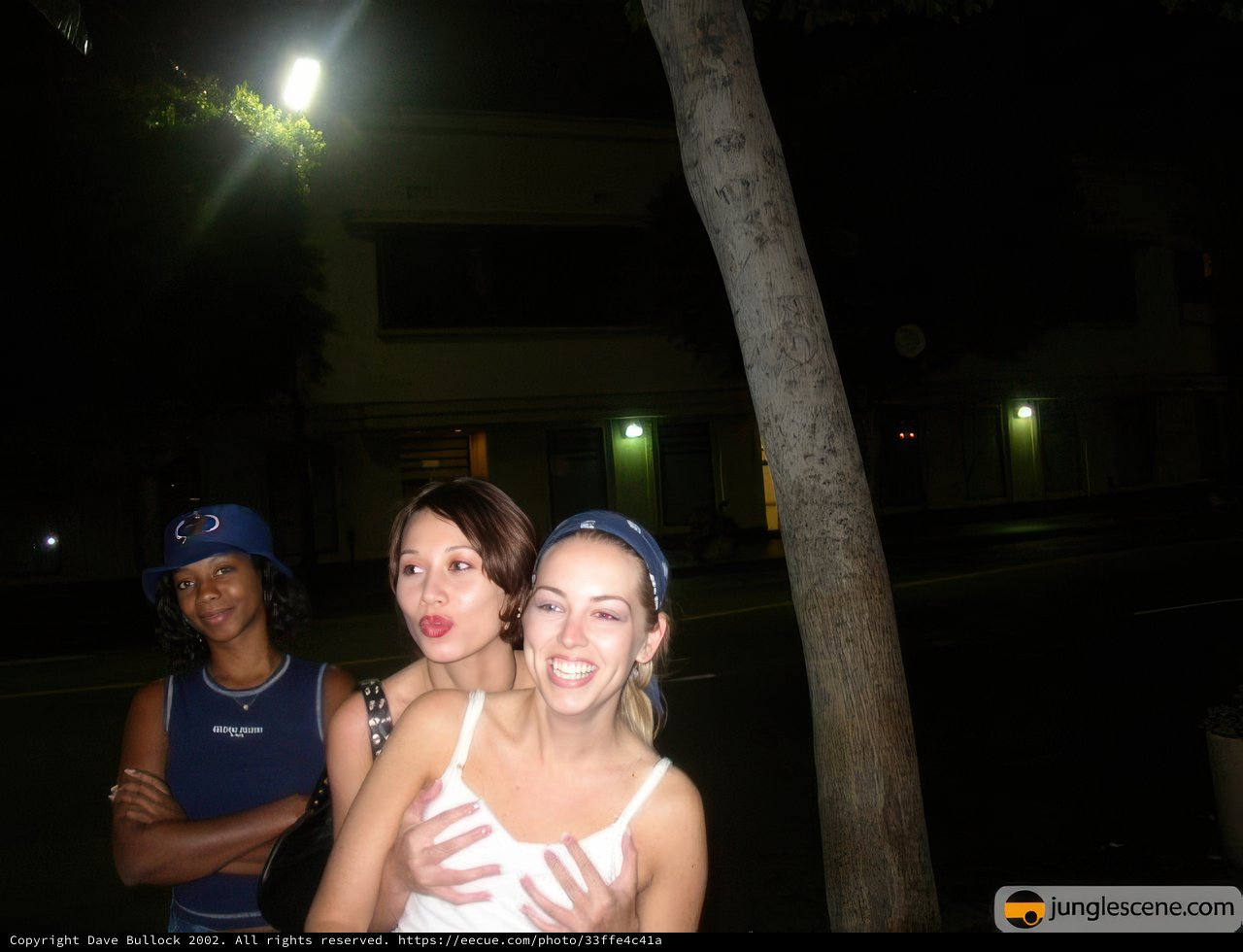 Nighttime Trio