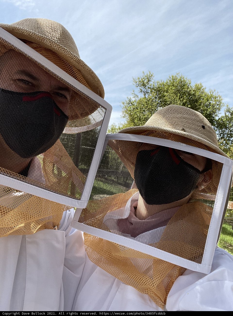 Beekeeping at Carmel