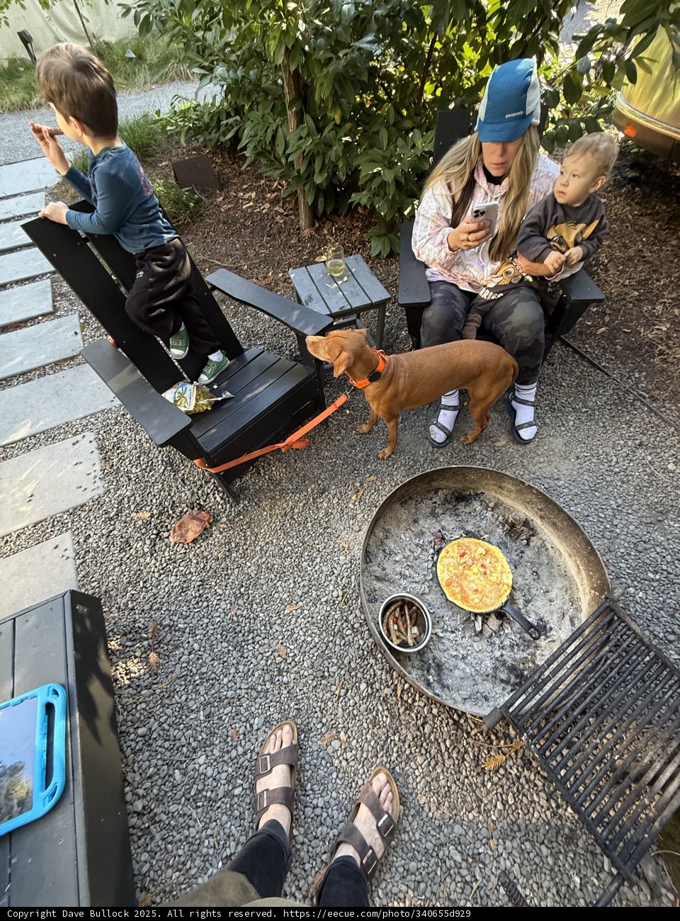 Morning Moments in Guerneville