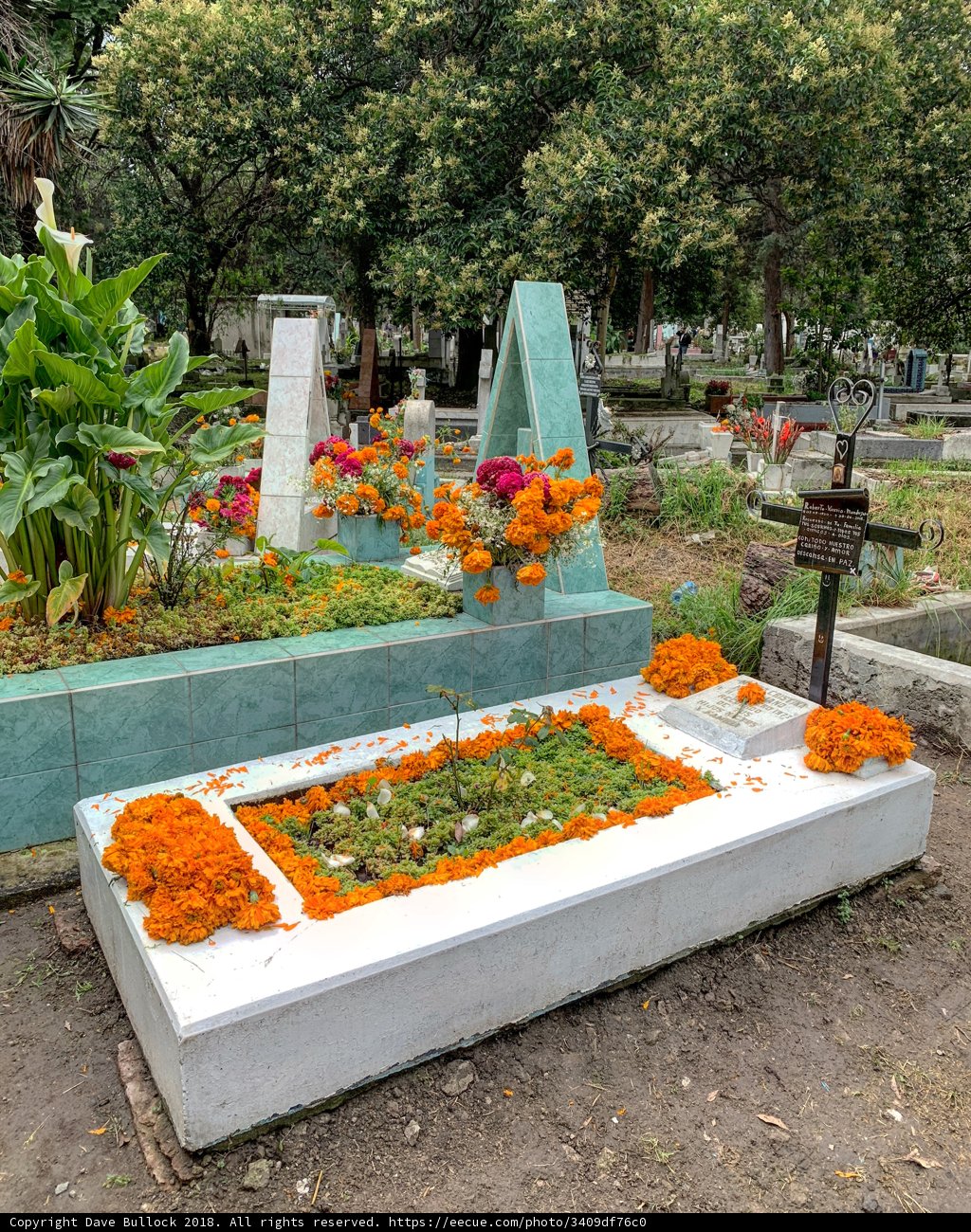 Remembering Loved Ones