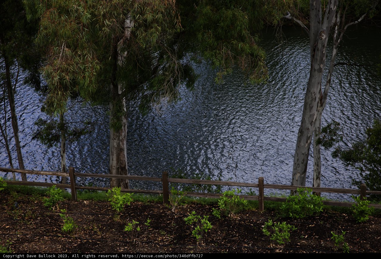Serenity by the Water in Napa