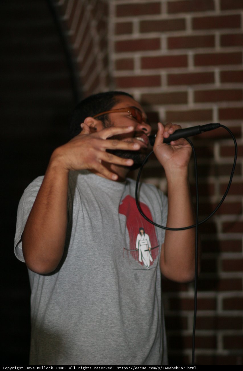 Live Performance in Front of Brick Wall