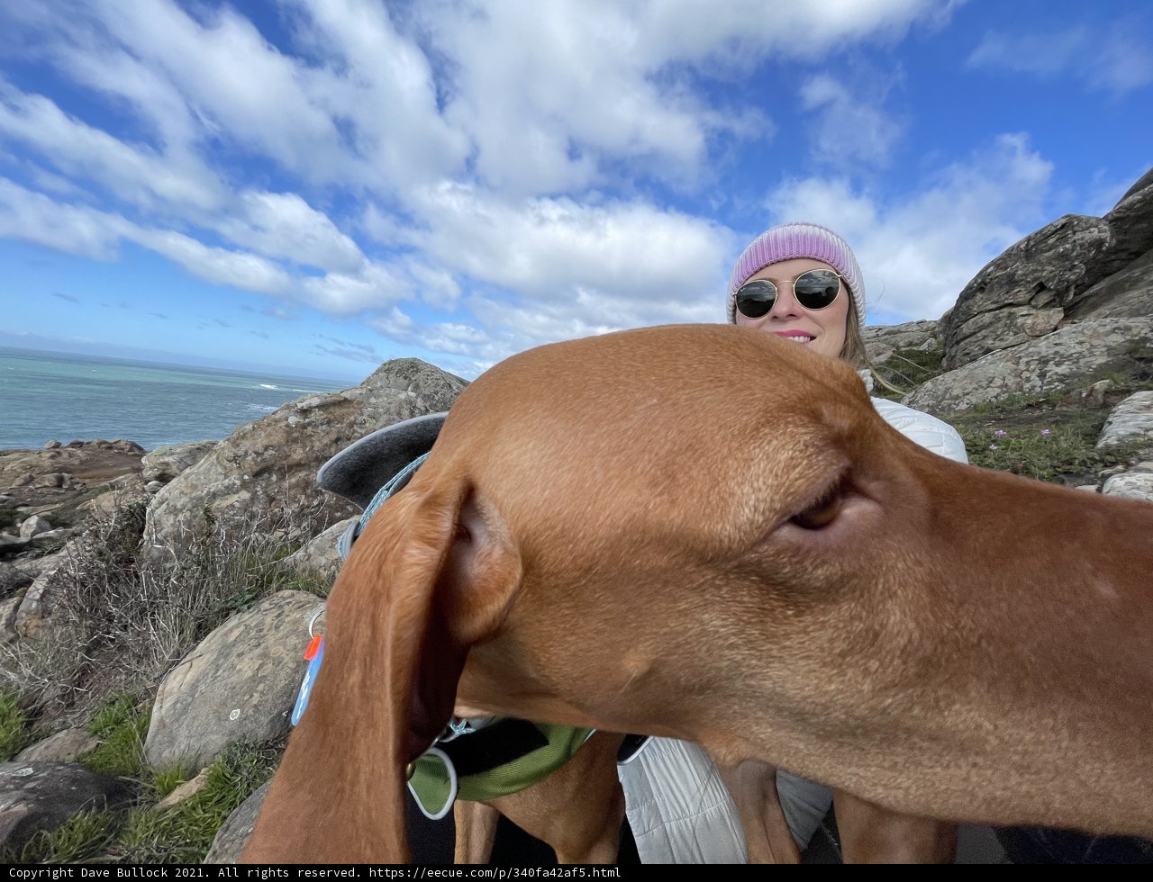 Rocky Adventure