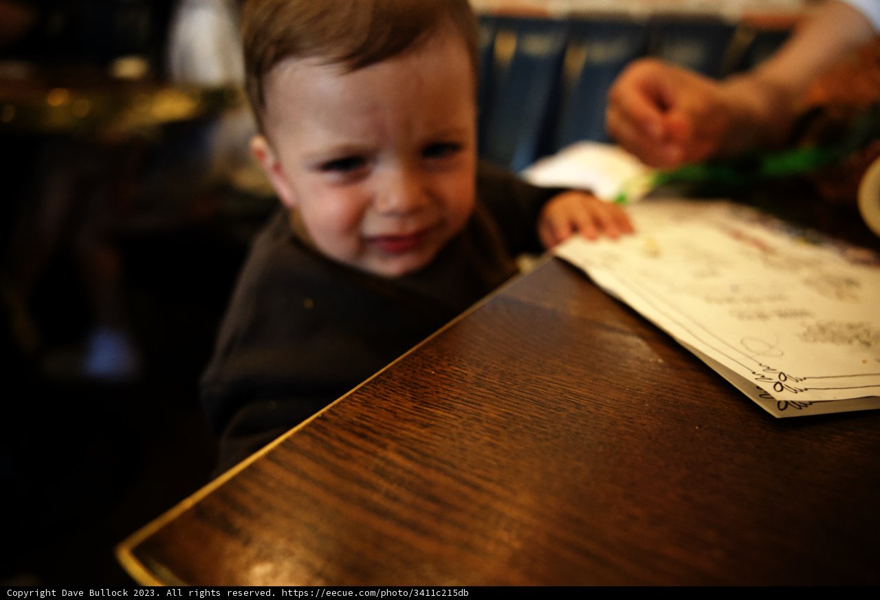 Little Food Critic at Disneyland