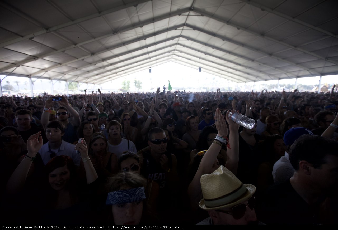 Crowd at Coachella Music Festival Featuring Cole Sprouse