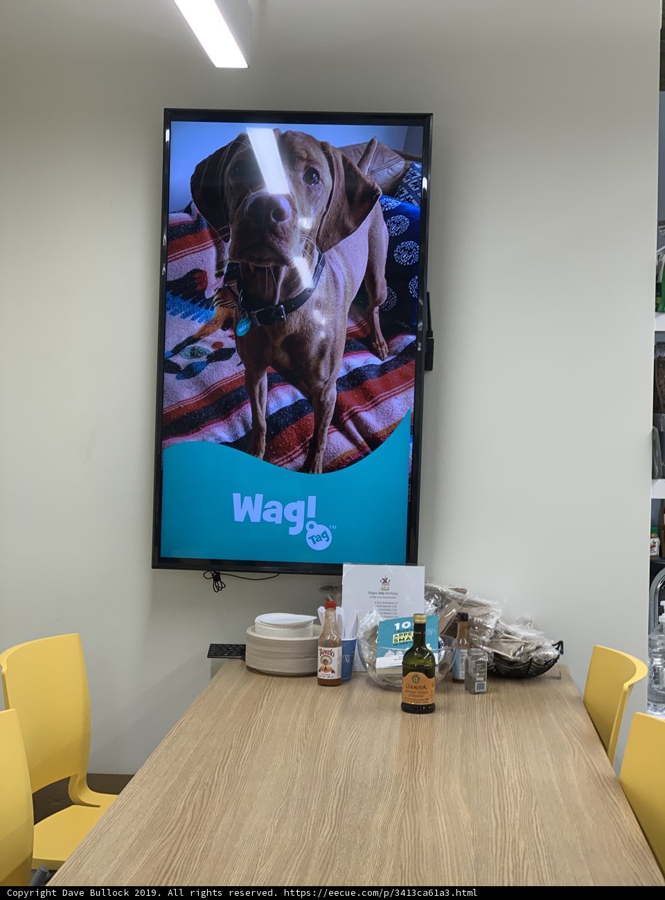 Canine Conference Room