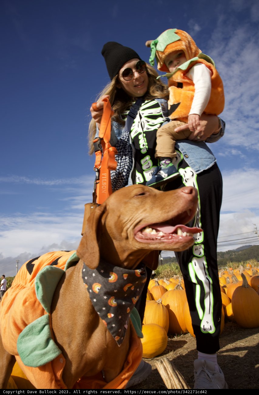 Halfmoon Bay Harvest: Lori S and Her Faithful Companion