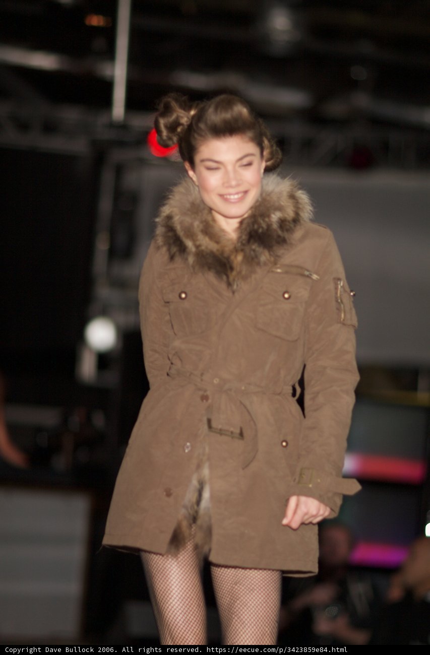 Runway Fashionista