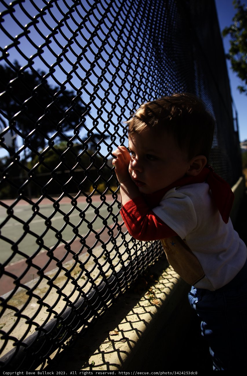 Embracing The Joy of Childhood