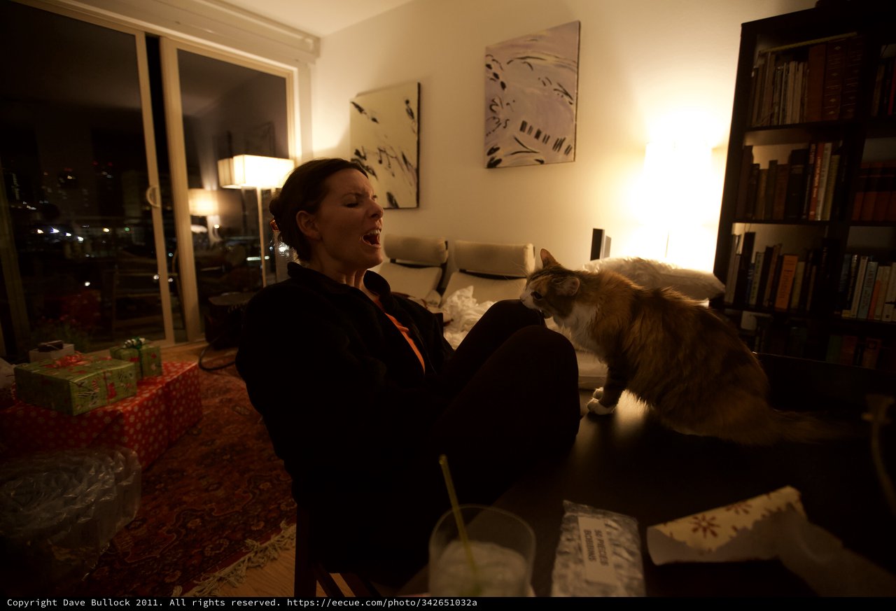 Woman Laughing With Fluffy Cat on Coffee Table