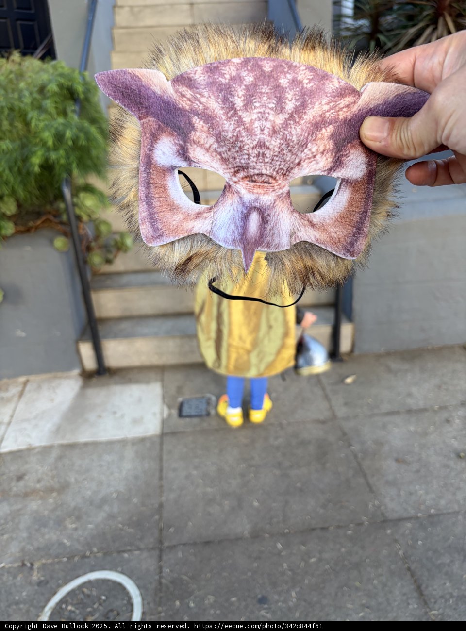 Masked Wonder