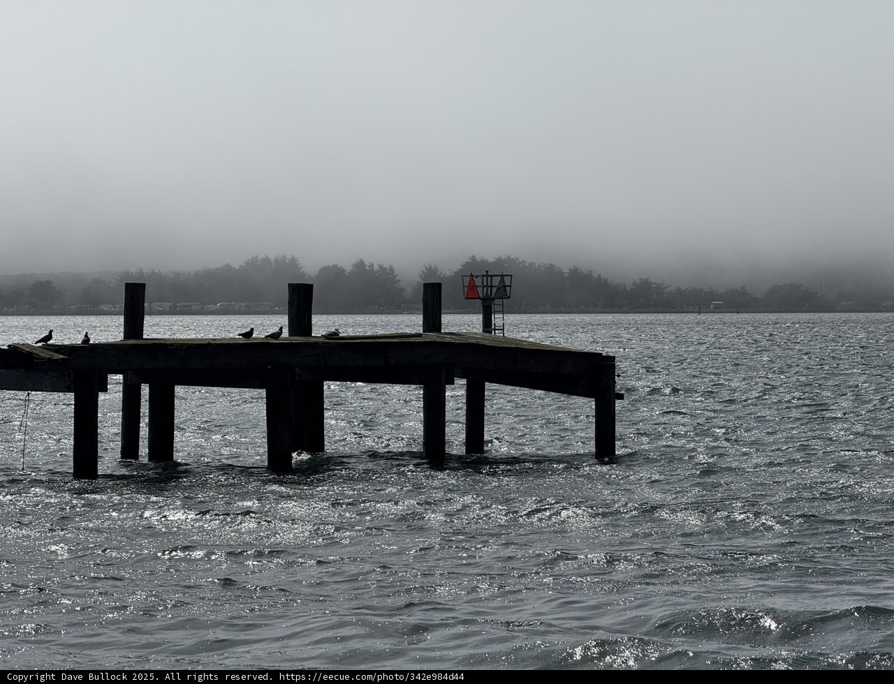 Serene September by the Bay