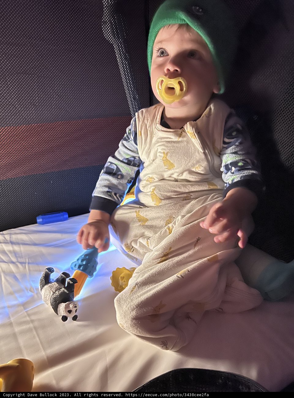 Wesley's Playtime Adventures