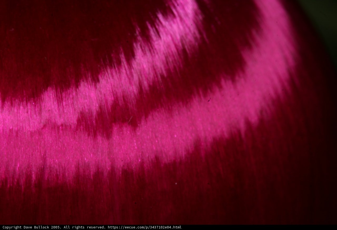 A Red Tulip in Velvet