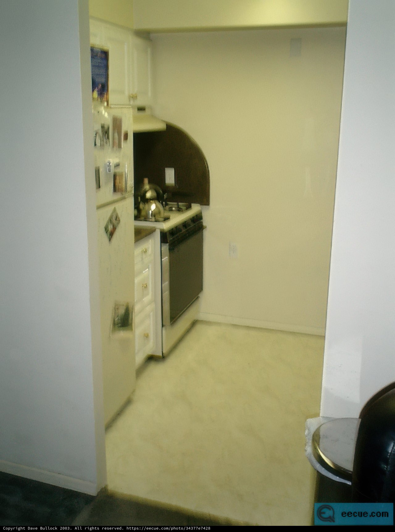 The Modern Kitchen