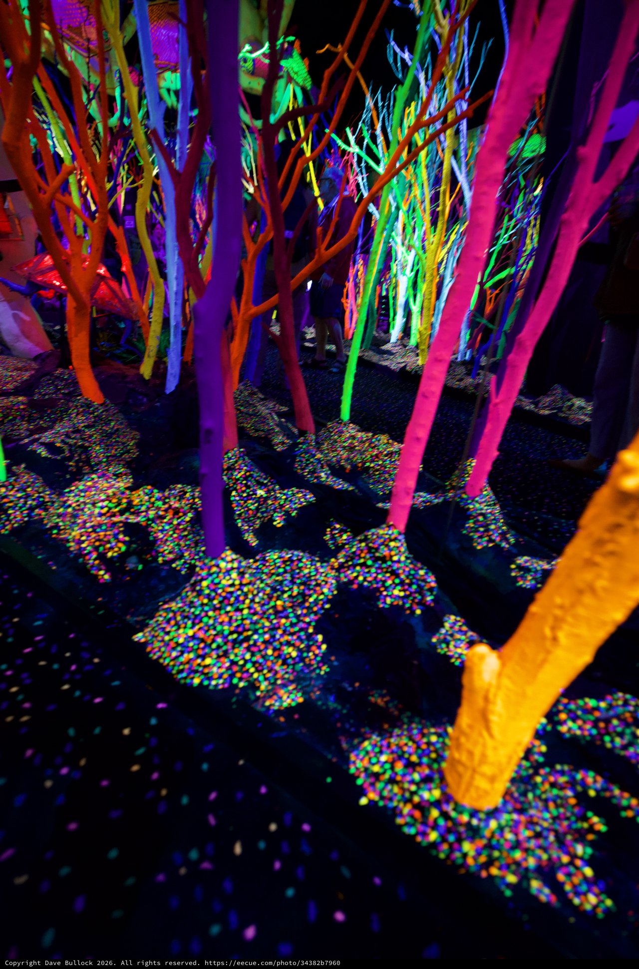 Neon Forest Installation with Colorful Confetti Floor