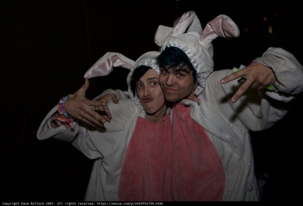 Bunny Ears Peace Sign
