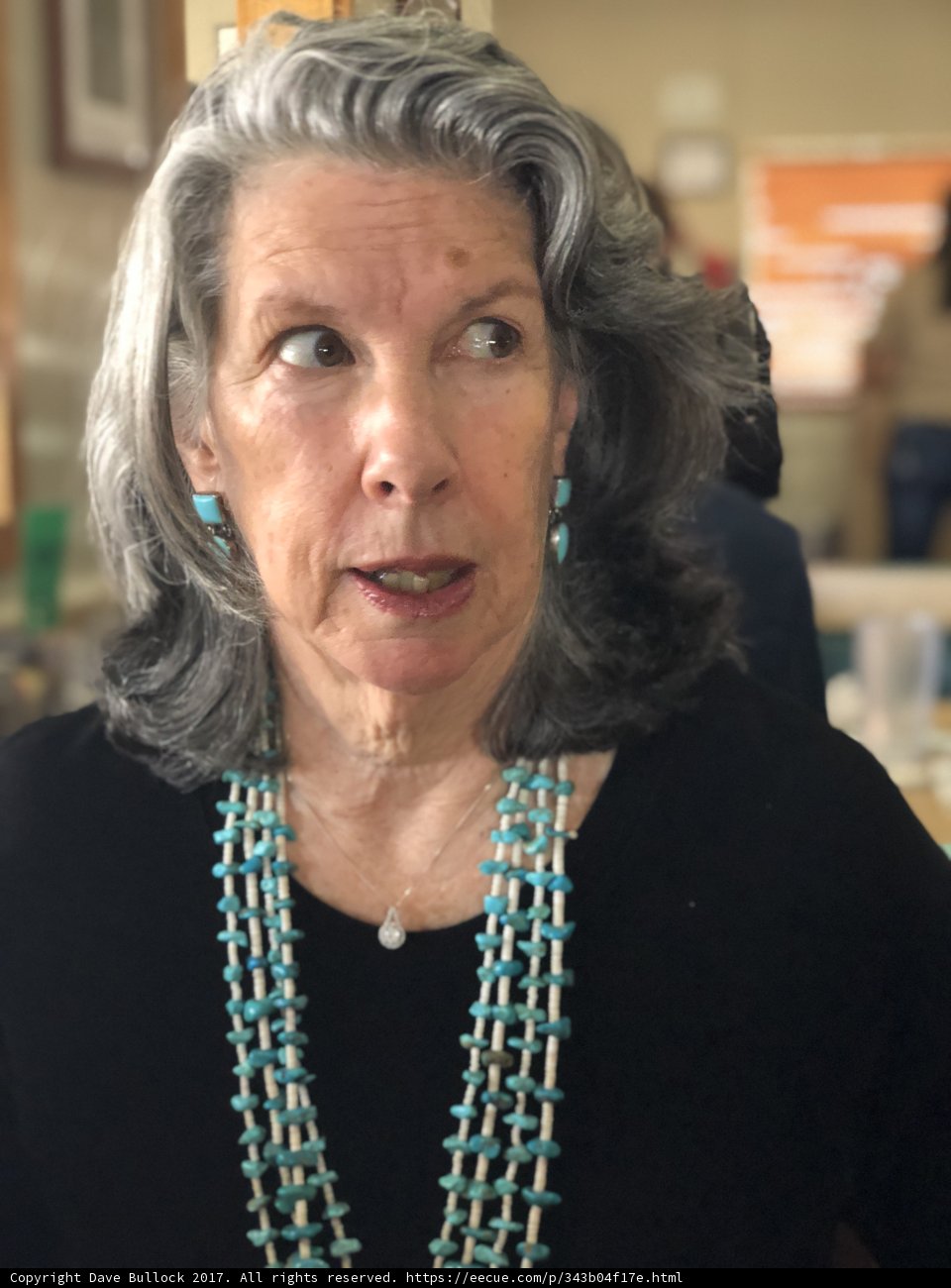 The Graceful Lady and Her Beaded Necklace