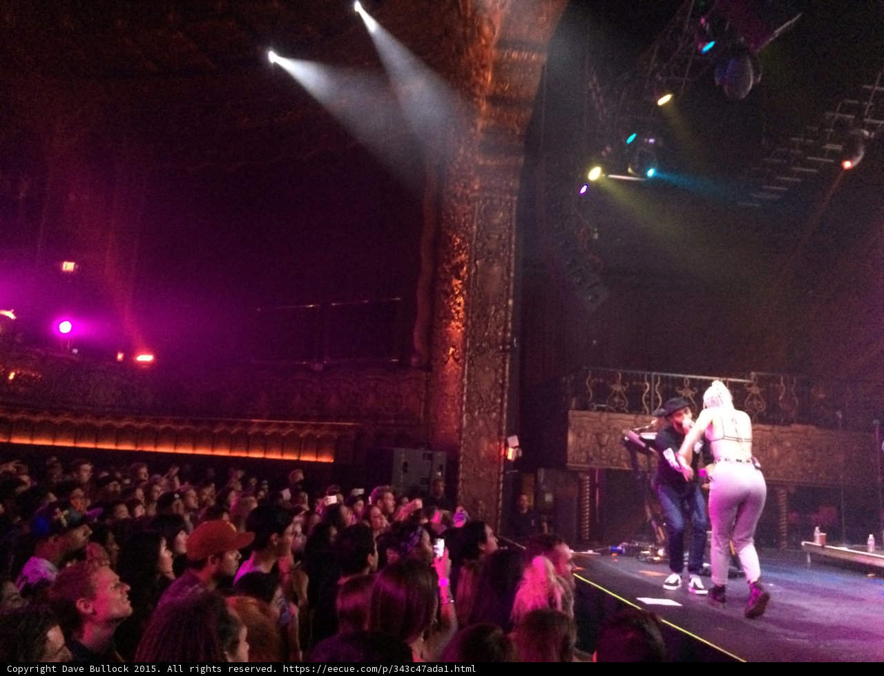 Spotlight on the Crowd