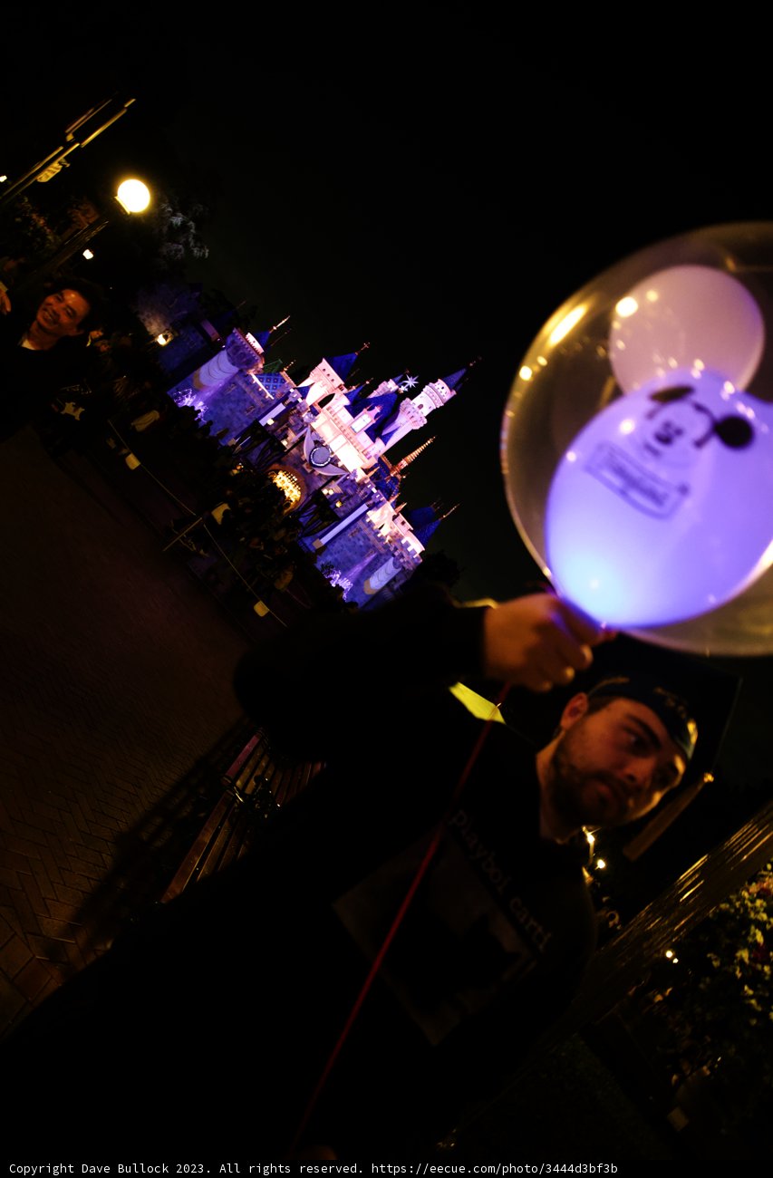 Magical Night at Disneyland