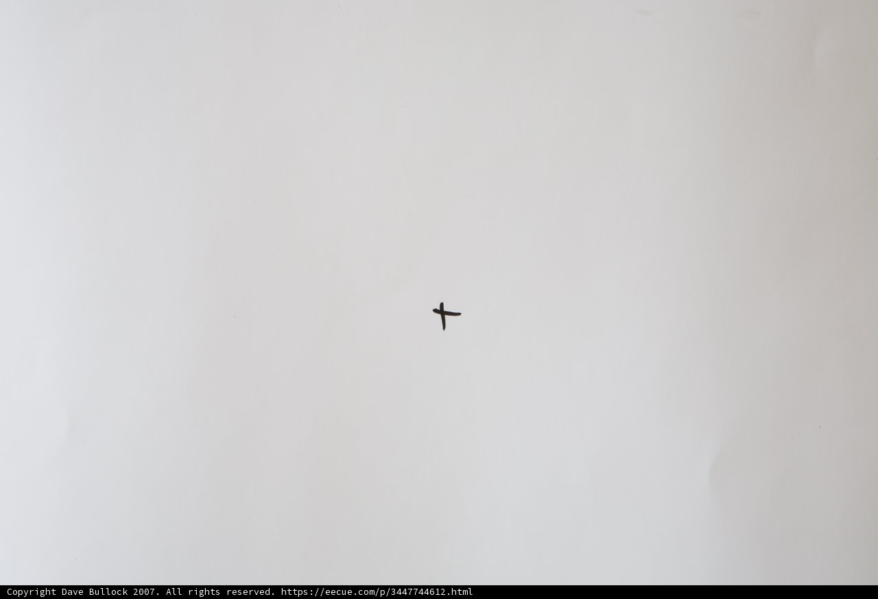 Faith in Flight
