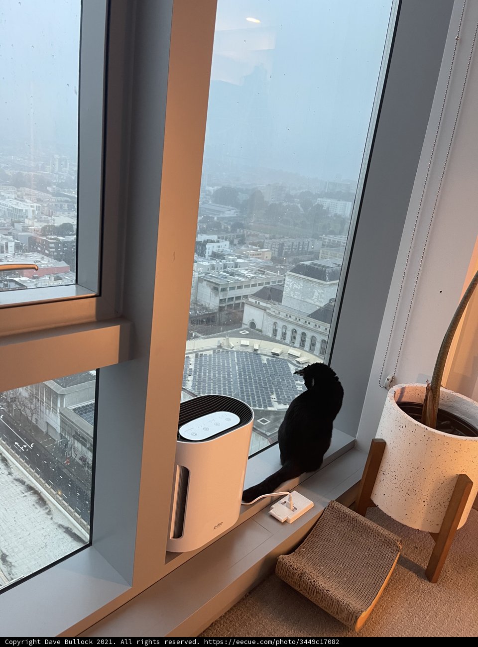 Urban Majesty