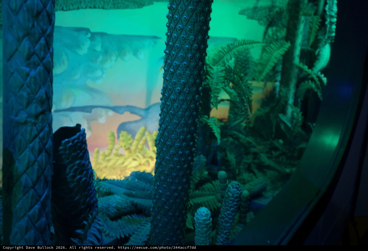 Otherworldly Forest Scene Through Textured Glass Portal