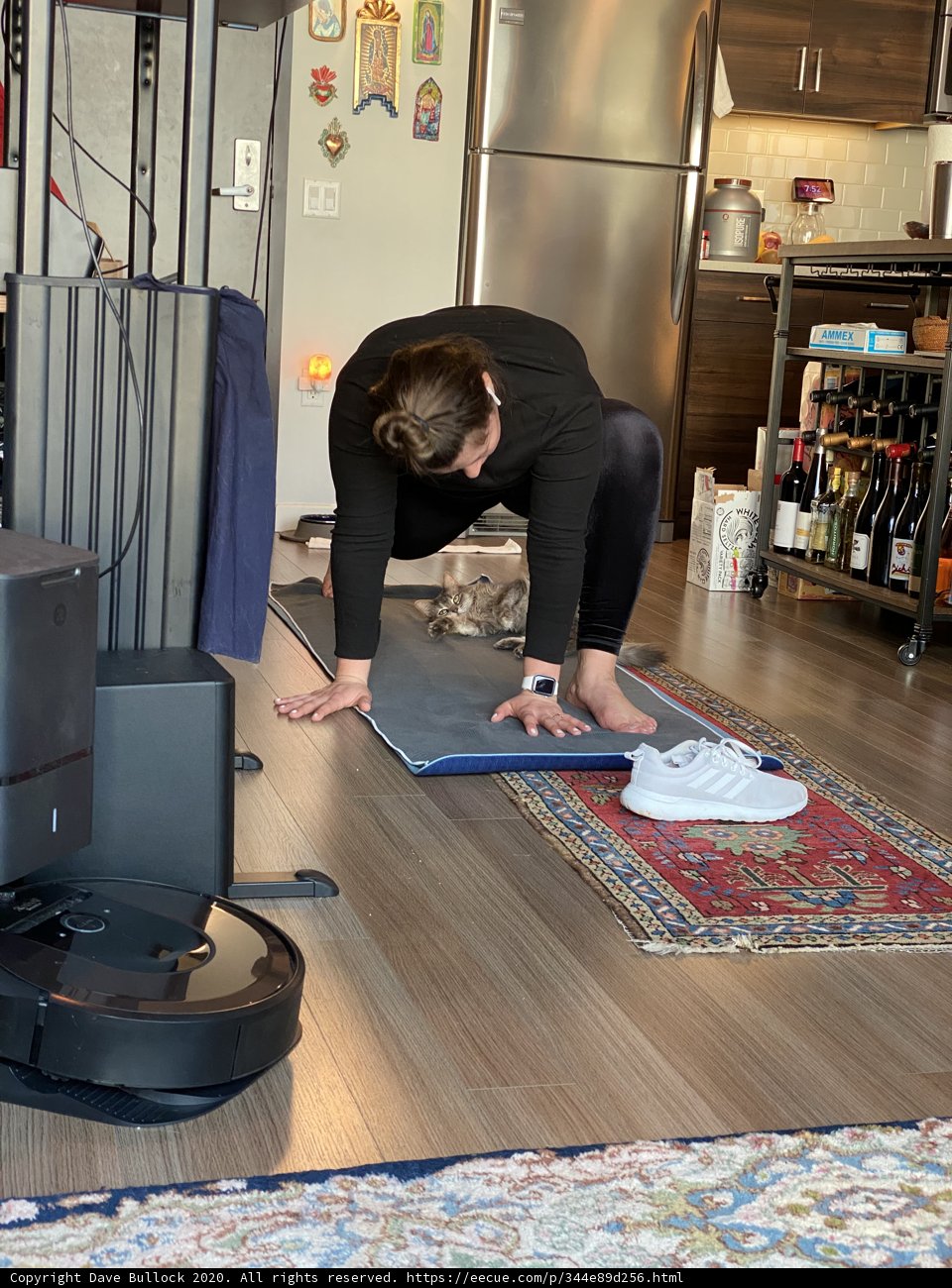 Yoga with My Vacuum Robot