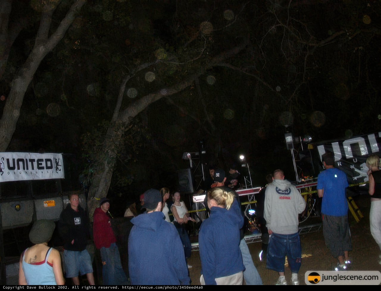Nighttime Concert Crowd