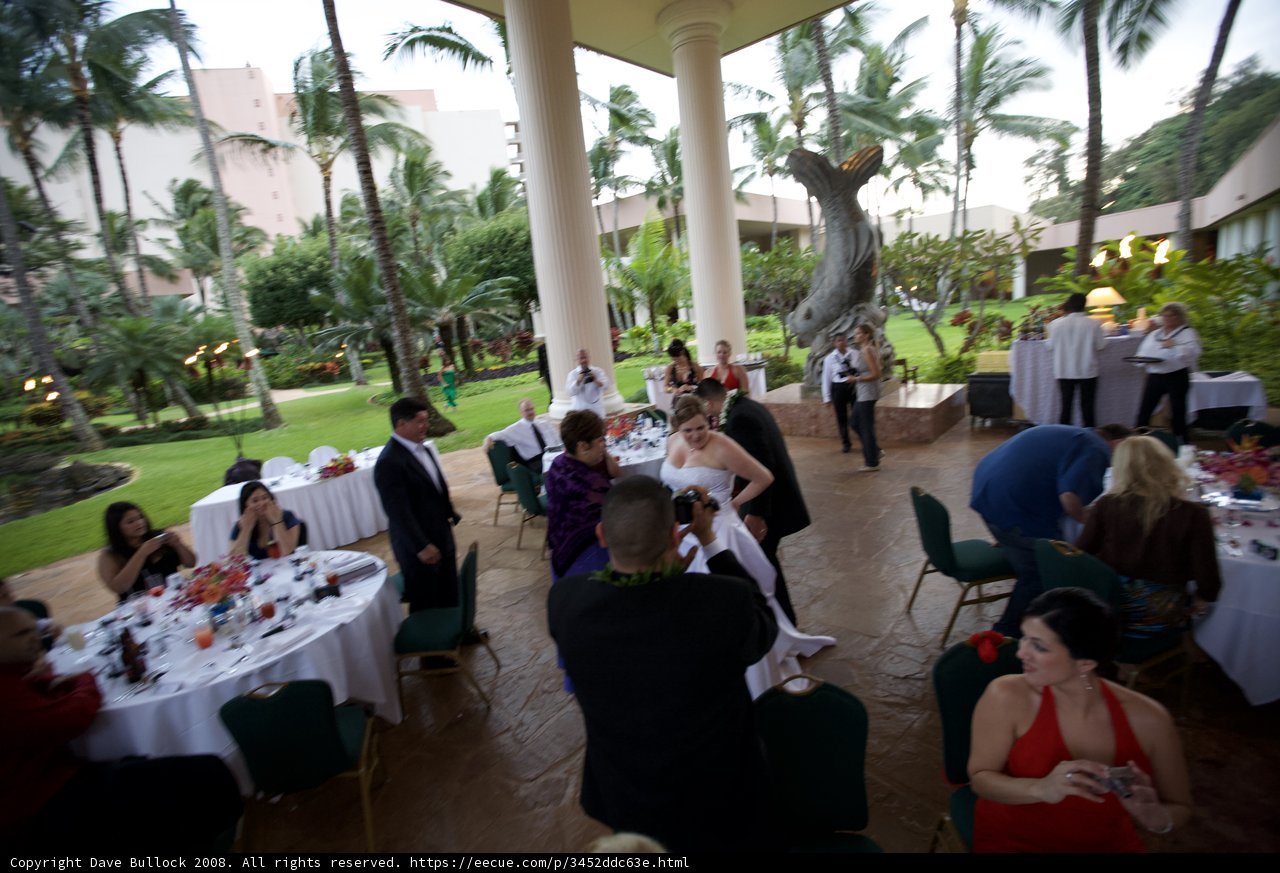 Wedding Reception at the Royal Aloha Resort