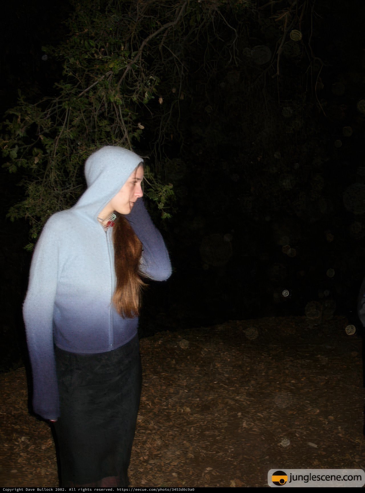 Blue-Hooded Beauty