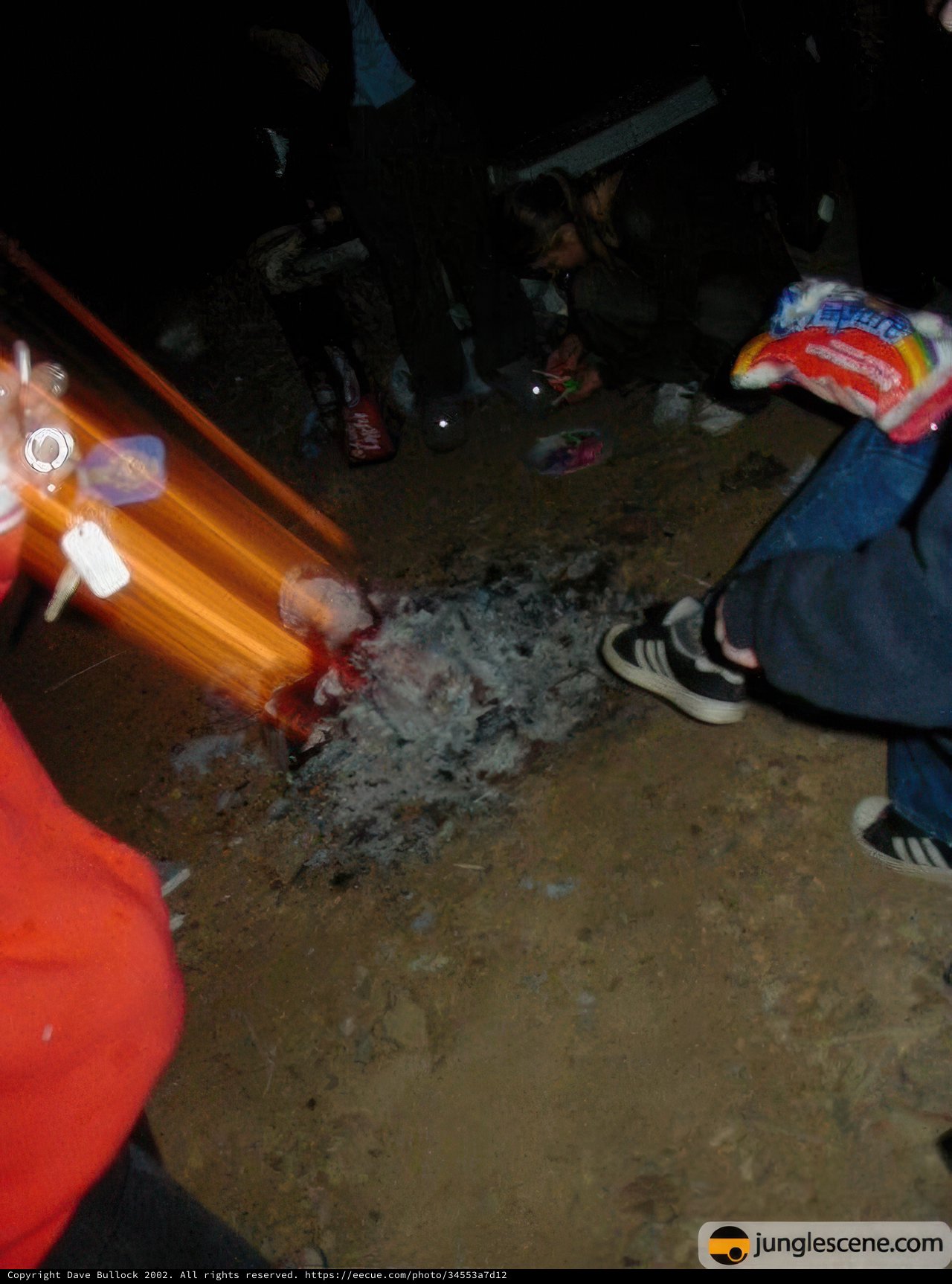 Campfire Night in the Desert