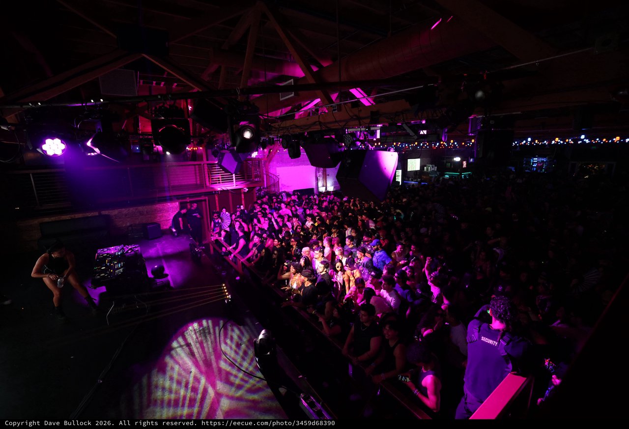 Massive Crowd Ignites Under Purple Lights at Wobbleland