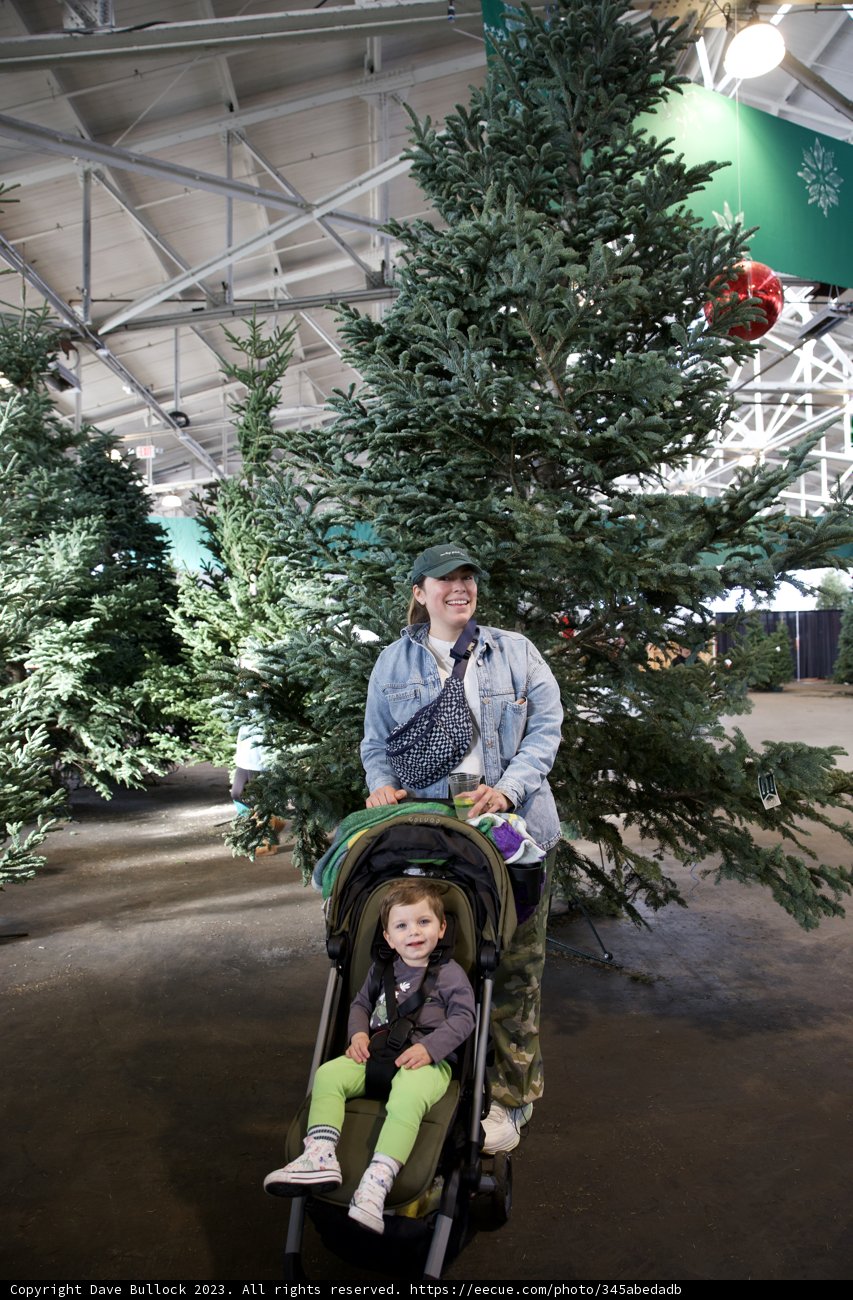 Festive Stroll at Fort Mason