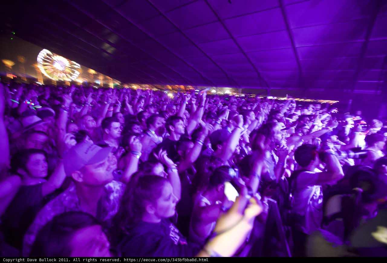 Purple Haze at Coachella
