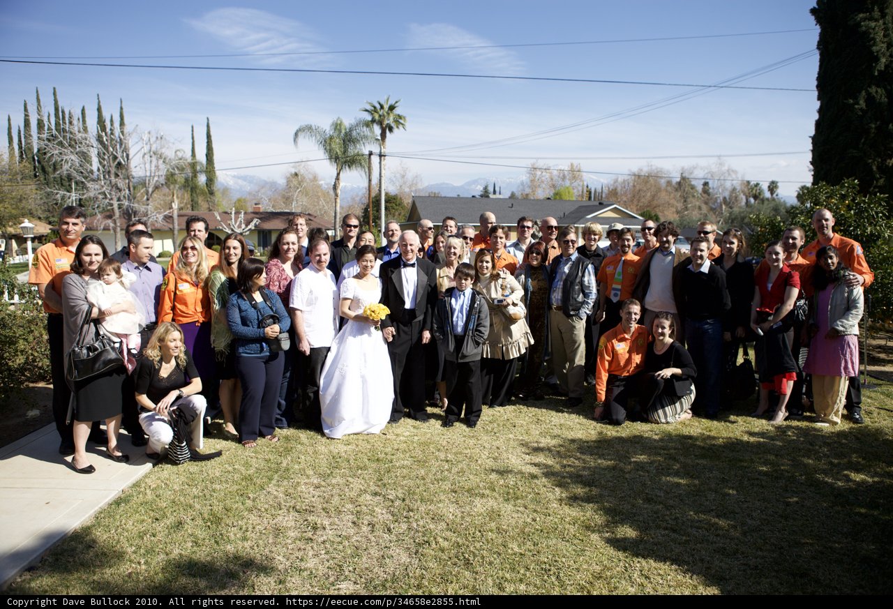 The Elegant Wedding Party