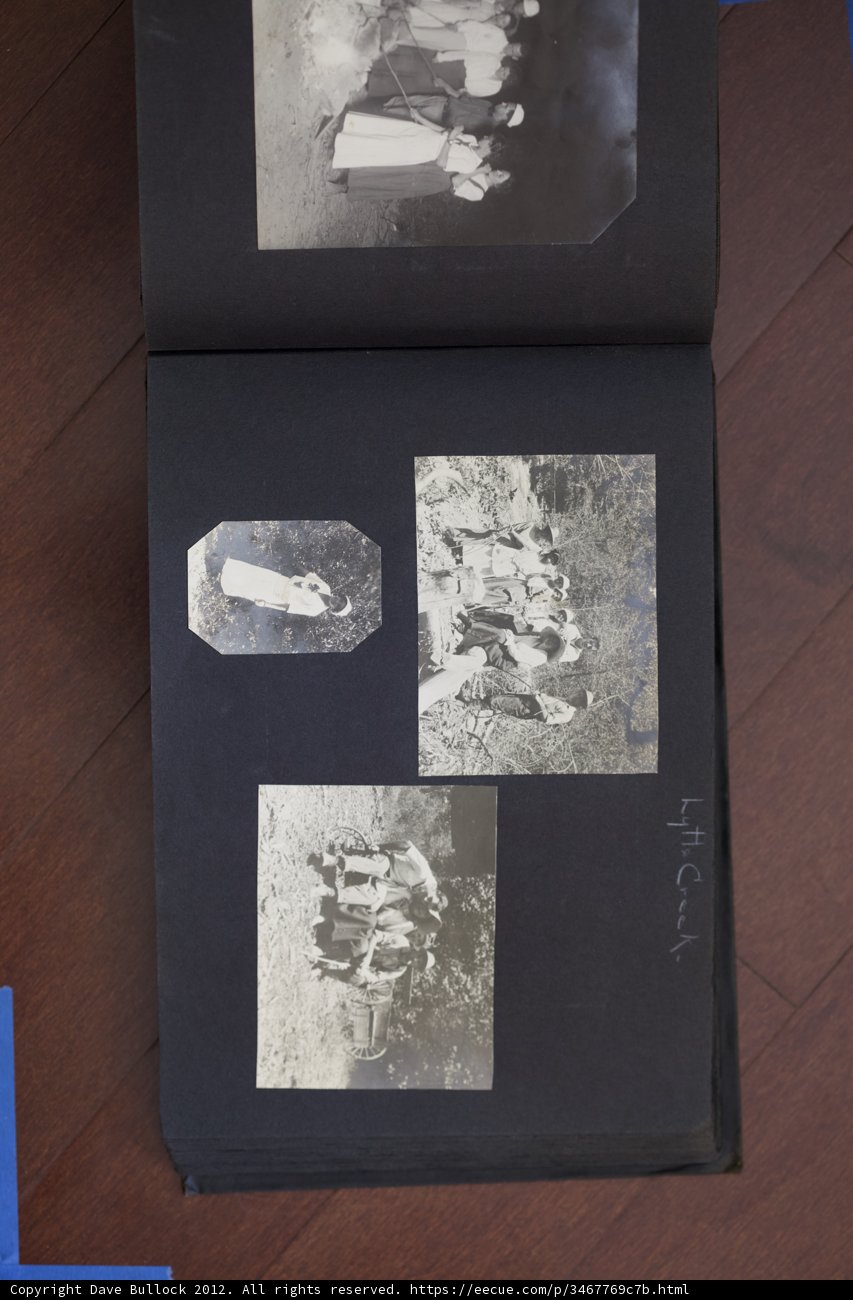 Bullock Curtis Family Collage