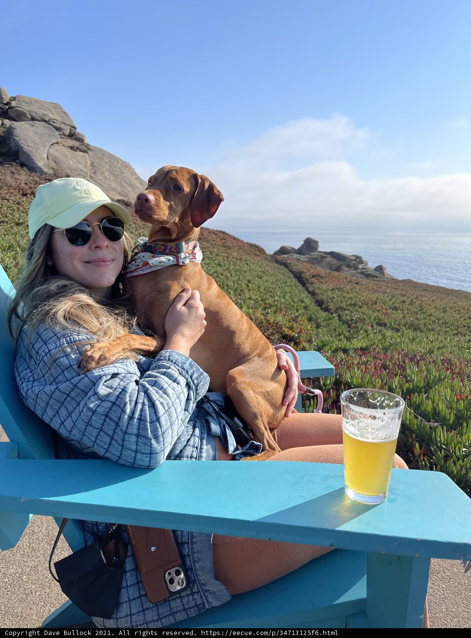 Basking in the California Sunshine
