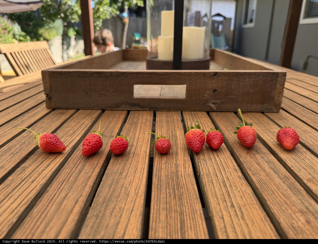 A Taste of September
